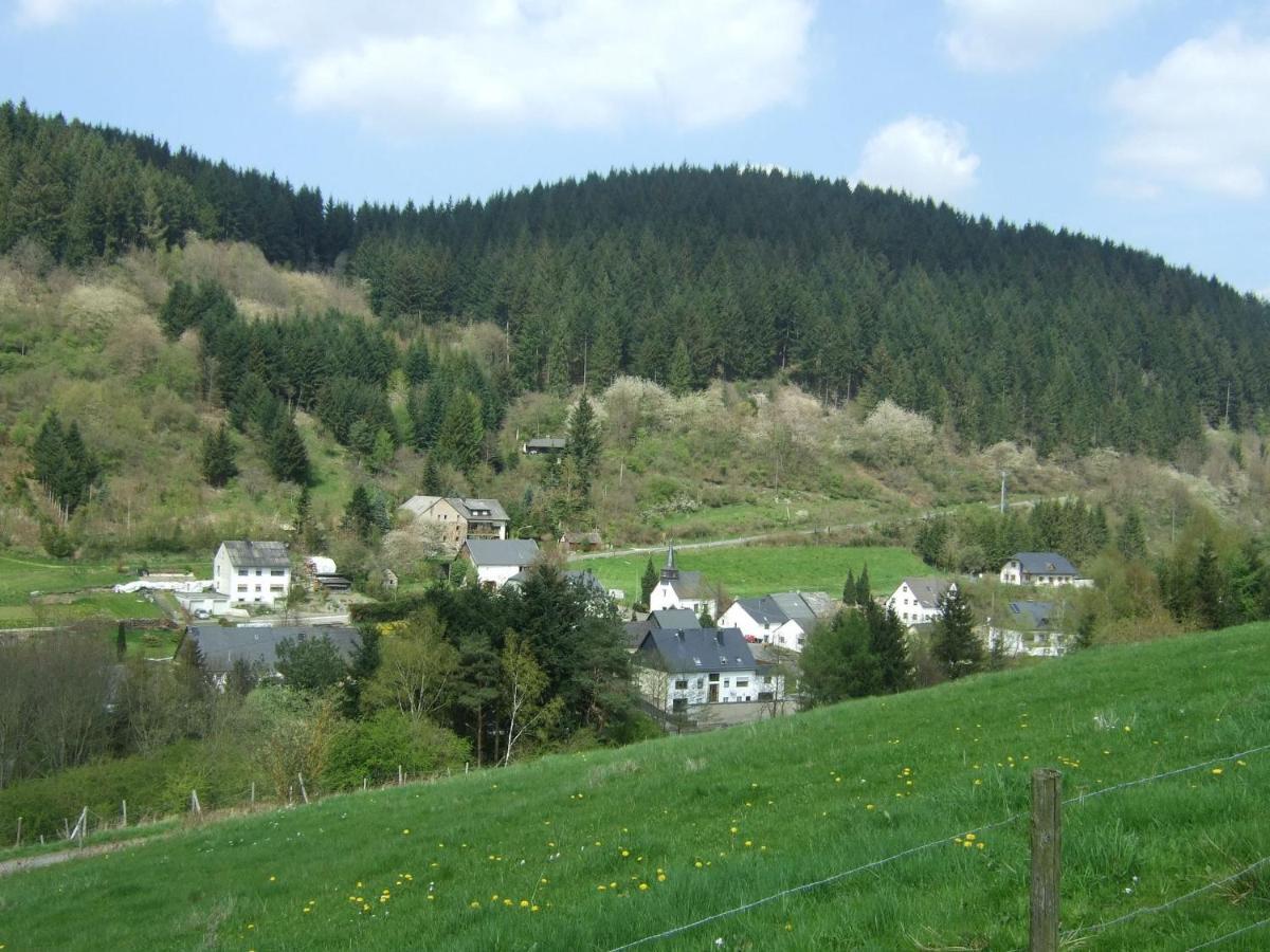 Lavish Apartment In Merschbach Near The Forest Exteriör bild